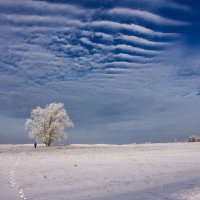 Январское небо. :: Людмила 