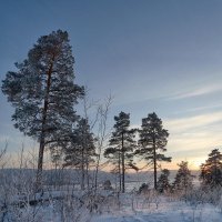 Зимний закат на Фёдоровских лугах :: Mikhail Linderov