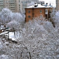 Редкий теперь вид за окном :: Алексей Виноградов