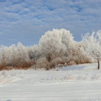 === :: Татьяна Котельникова