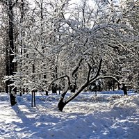 Снег сияющий :: Анатолий Мо Ка