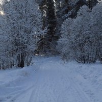 Дорога в зиму. :: Глен Ленкин