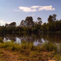 В окрестностях Сургута :: Оксана Галлямова