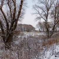 Зимний пейзаж :: Лидия Бусурина