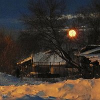 Луна потихоньку из снега встает :: Наталья Ильина