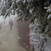 Пройден экватор зимы – впереди ждёт весна! :: Татьяна Смоляниченко