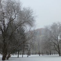 Серый зимний денек :: Raduzka (Надежда Веркина)
