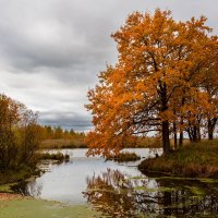 Осень на озере :: Александр Синдерёв