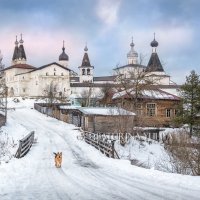 Монастырь в Ферапонтово и собака :: Юлия Батурина