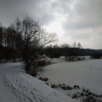 Последний день января был хмурым :: Андрей Лукьянов