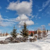 После снегопада (2) :: Nina Karyuk