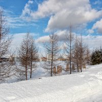 После снегопада (3) :: Nina Karyuk