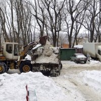 Даже не верится, что у нас было столько снега, что приходилось машинами вывозить... :: Татьяна Смоляниченко