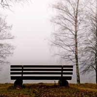 Одинокая скамейка в тумане на Волге :: SergAL 