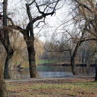 Полдень в парке. :: barsuk lesnoi