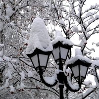 Январь утеплил фонари... :: Лидия Бараблина