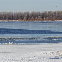 Это не весна, это февраль! :: Александр Тарноградский