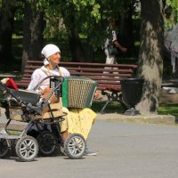 Свой бизнес. :: Наталья Цветкова