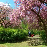 Весна в городском парке :: Nina Yudicheva