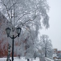 Узоры зимы. :: Наталья Сазонова