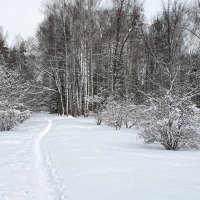Под снежным покрывалом февраля. :: Анатолий Грачев