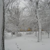 Там на заснеженых тропинках следы неведомых людей :: Галина Квасникова