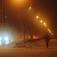 Снегопад :: Владилен Панченко