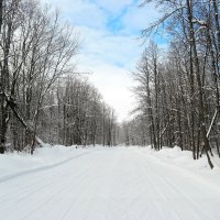 На лыжной трассе :: Андрей Заломленков