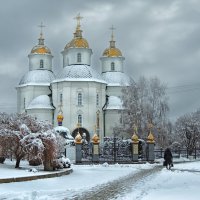 Первый снег :: Роман Савоцкий