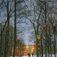 Вечер в зимнем парке... :: Сергей Кичигин