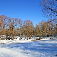Леоновский парк в Москве. :: Ольга Довженко