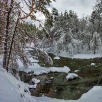 Архыз,Река Псыш. :: Аnatoly Gaponenko