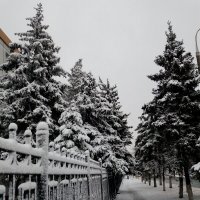 Припорошило первым снежком :: Татьяна Пальчикова
