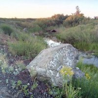 Начало степной речки. Свежая.живая вода. :: Георгиевич 