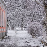Мокрый снег :: Игорь Сикорский