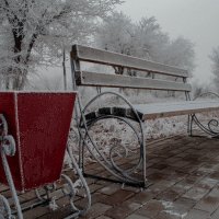 Скамья в снегу :: Алишер Бабиков