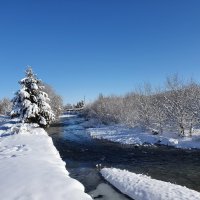 зимнее утро :: Батик Табуев