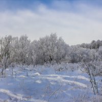 были зимы снежные :: Петр Беляков