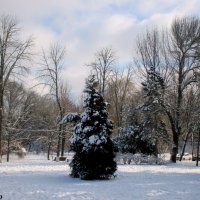Зима в Ростове :: Нина Бутко