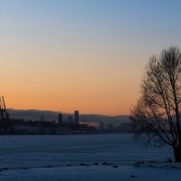 Зимняя графика. :: Владимир Безбородов