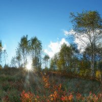 В Карпатах. :: Юрий Гординский