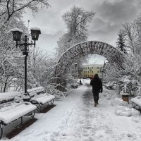 В зимнем парке :: Роман Савоцкий