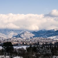 Winter/Kobuleti :: BY theSEA