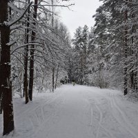 Зима... :: ВикТор Быстров