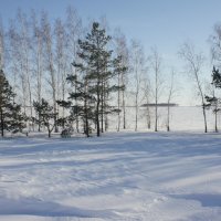 Вчерашний ясный день. :: сергей 