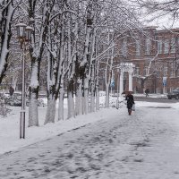 На Кубани бывает и снег :: Игорь Сикорский