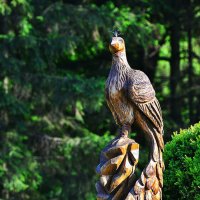 Жар-птица из старого дерева в ботаническом саду :: Тамара Бедай 