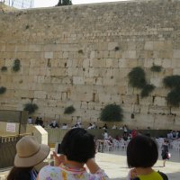 Иерусалим. Западная стена :: Герович Лилия 