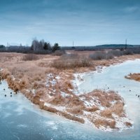 река Пра :: Светлана А