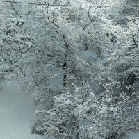 Снег,который радует глаз. :: Миколаш Дзурилла 